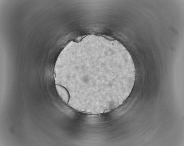 X0000111360240200908211303
