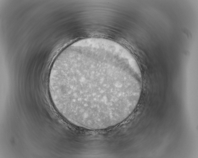 X0000111360241200908211303