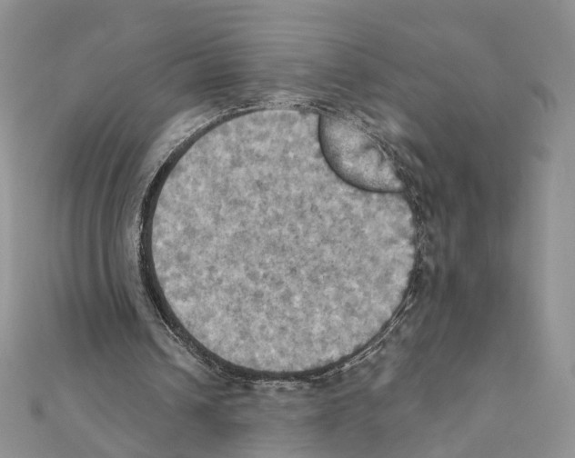 X0000111360242200908211303