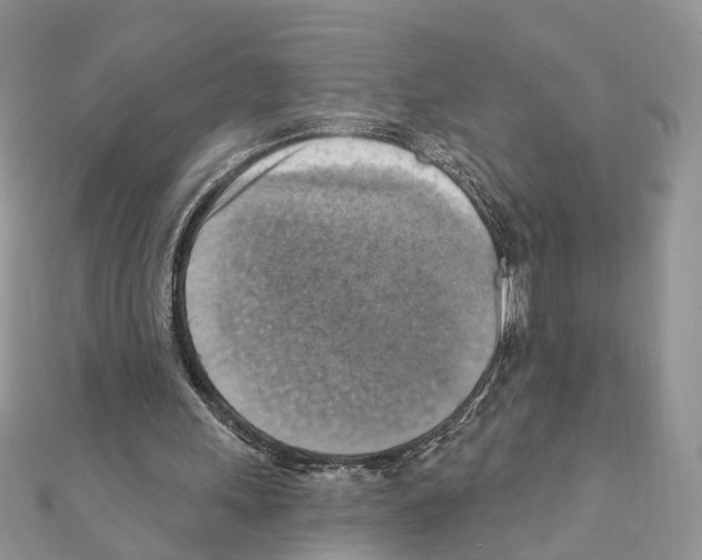 X0000111360243200908211303