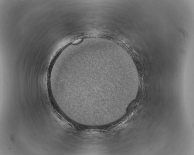 X0000111360244200908211303