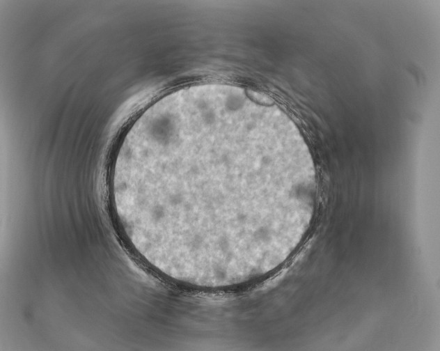 X0000111360245200908211303