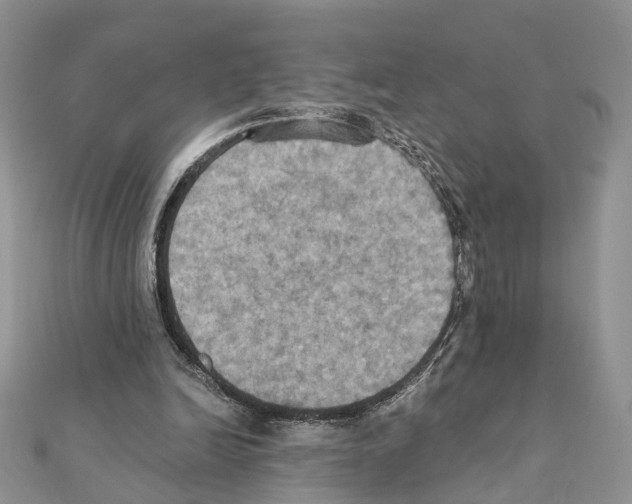 X0000111360246200908211303