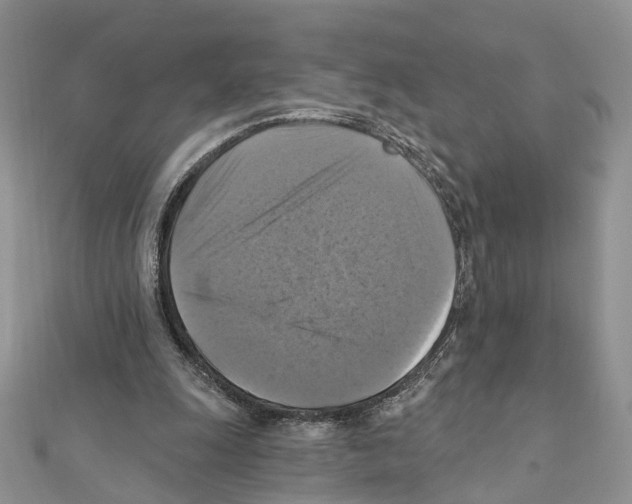 X0000111360247200908211303