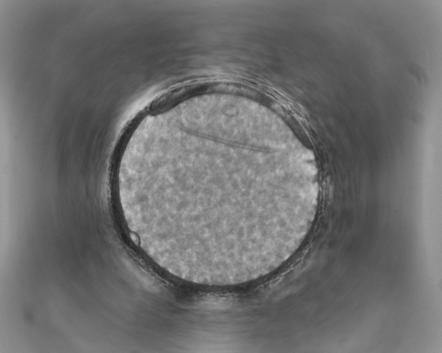 X0000111360248200908211303
