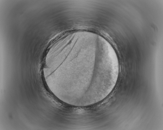 X0000111360249200908211303
