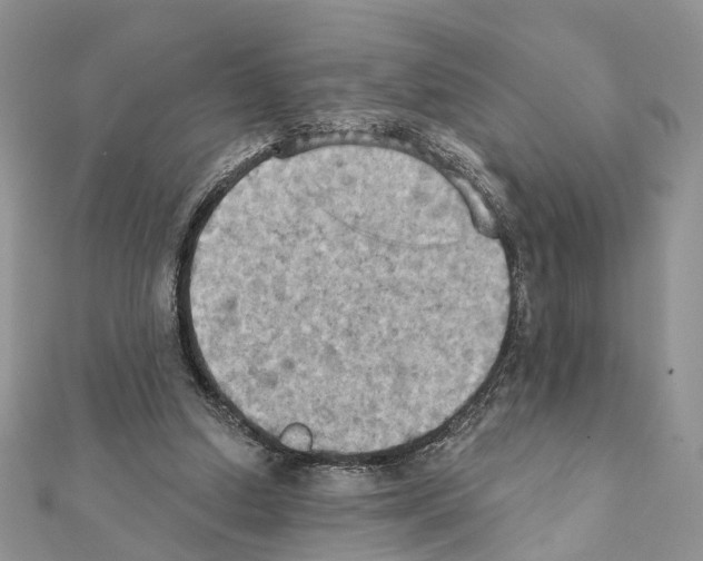 X0000111360250200908211303