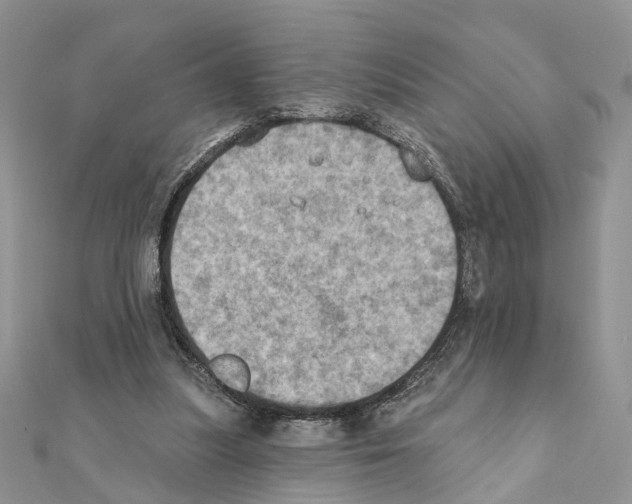 X0000111360251200908211303