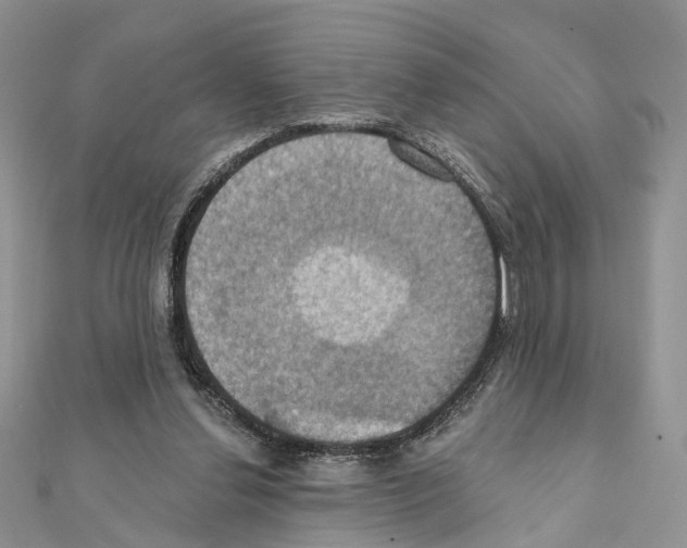 X0000111360252200908211303