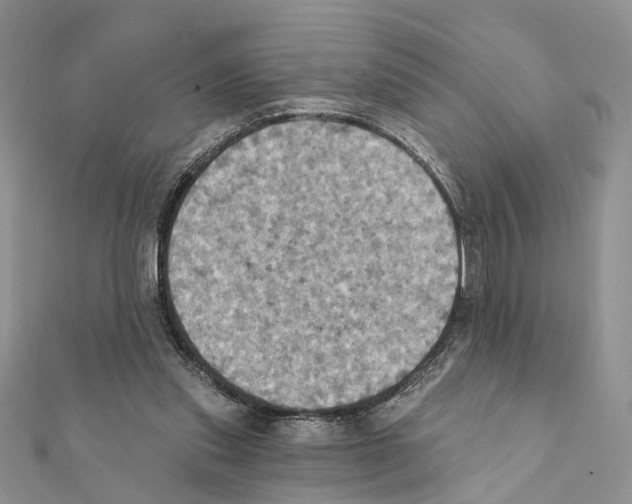 X0000111360253200908211303