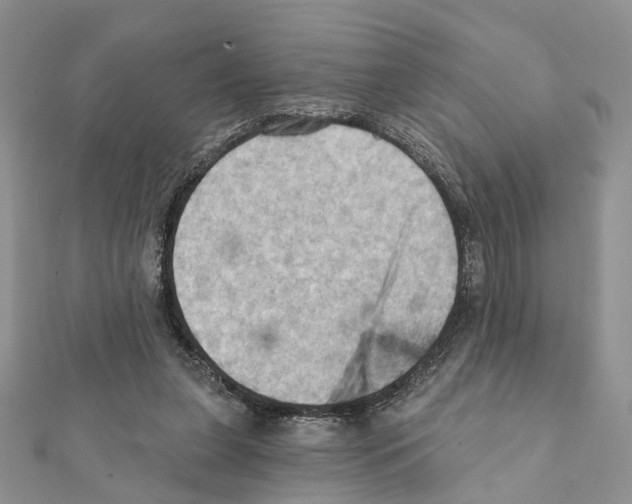 X0000111360255200908211303