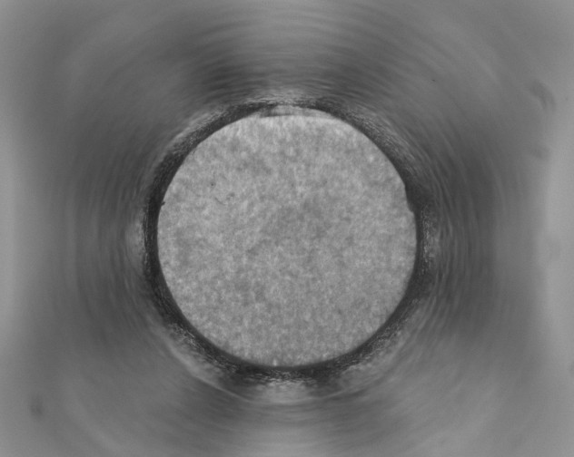 X0000111360256200908211303