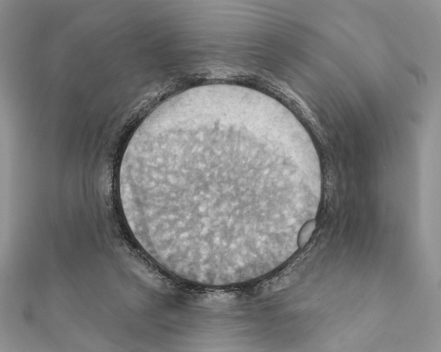 X0000111360257200908211303