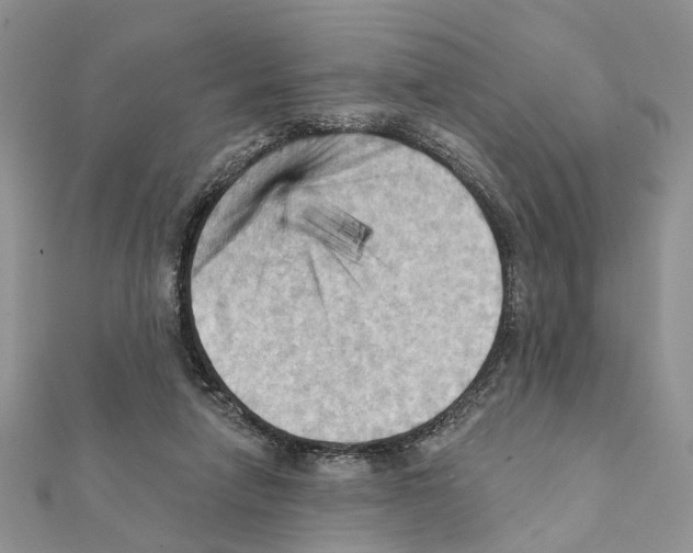 X0000111360258200908211303