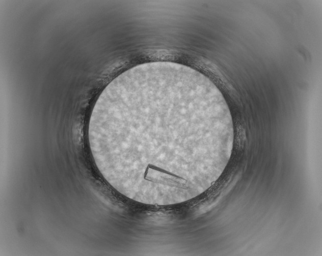 X0000111360259200908211303