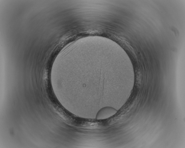 X0000111360260200908211303