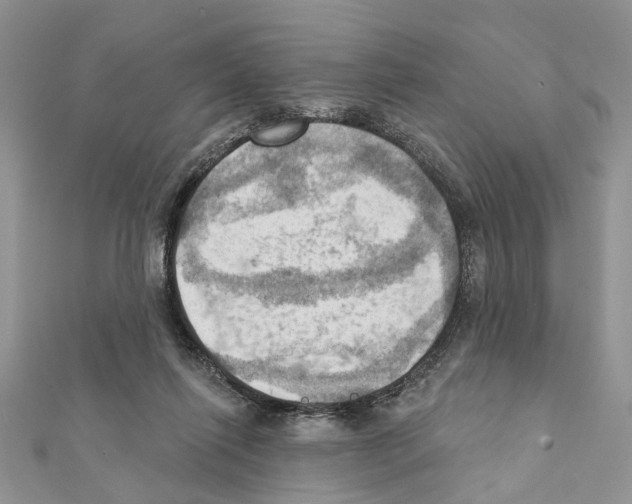 X0000111360262200908211303