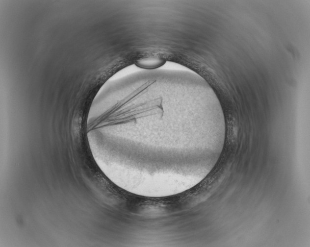 X0000111360263200908211303