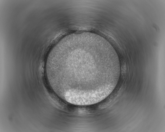 X0000111360264200908211303