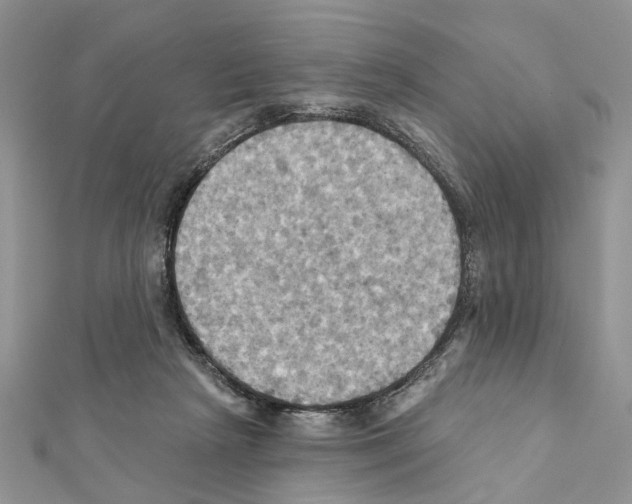 X0000111360265200908211303