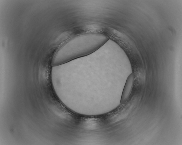 X0000111360268200908211303