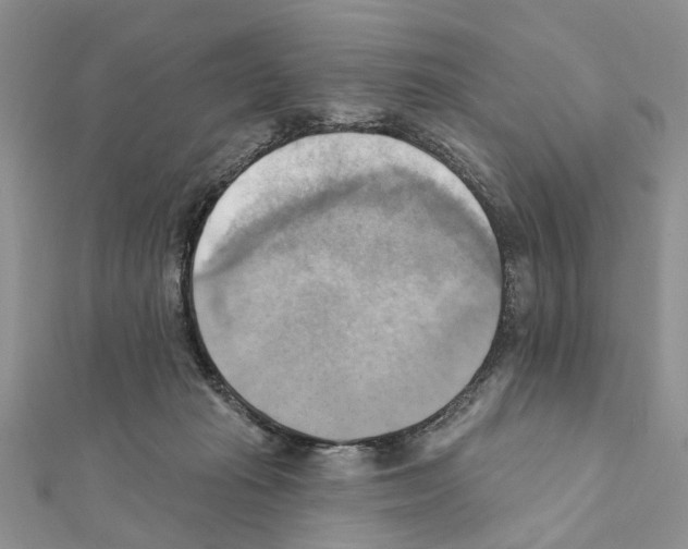 X0000111360269200908211303