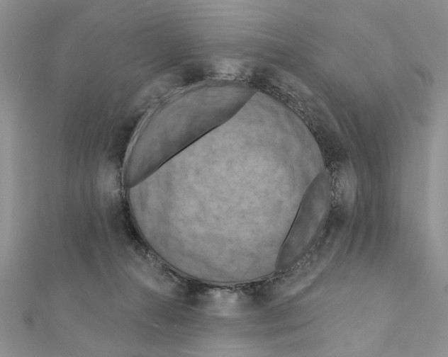 X0000111360272200908211303