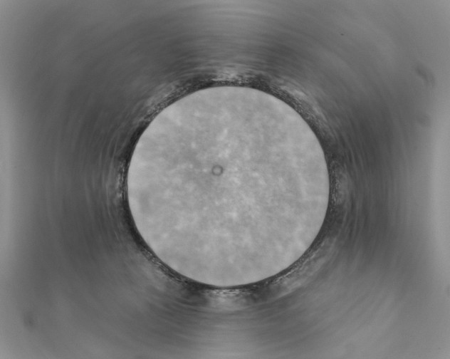 X0000111360273200908211303
