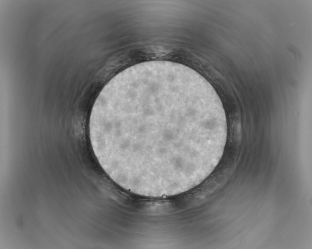 X0000111360274200908211303