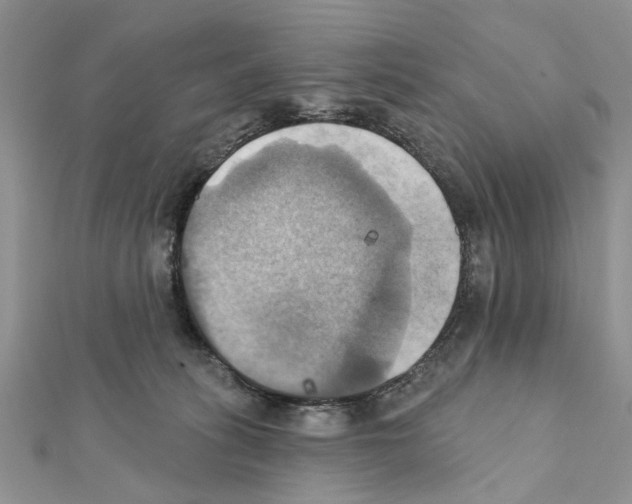 X0000111360275200908211303