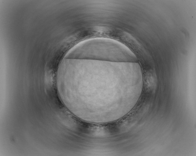 X0000111360276200908211303