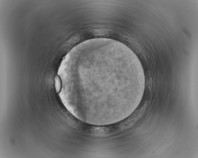X0000111360277200908211303