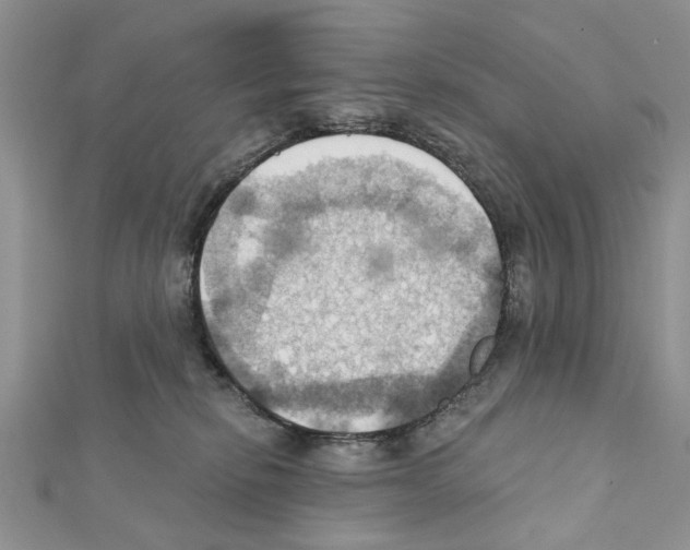 X0000111360278200908211303