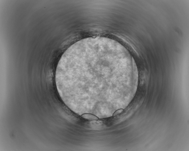 X0000111360279200908211303