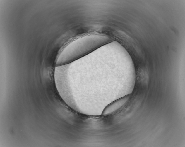 X0000111360280200908211303