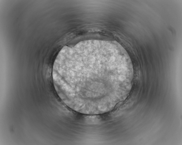 X0000111360281200908211303