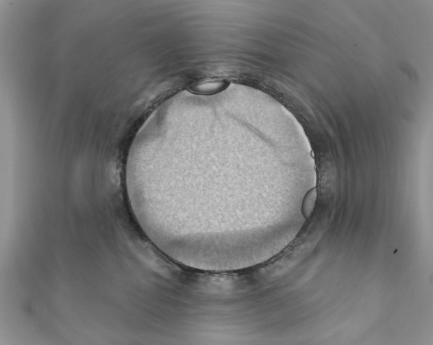 X0000111360282200908211303