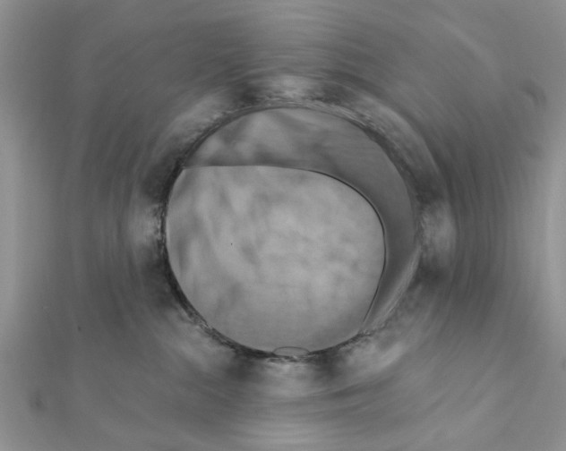 X0000111360284200908211303