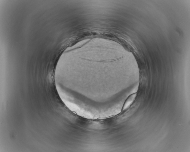 X0000111360285200908211303