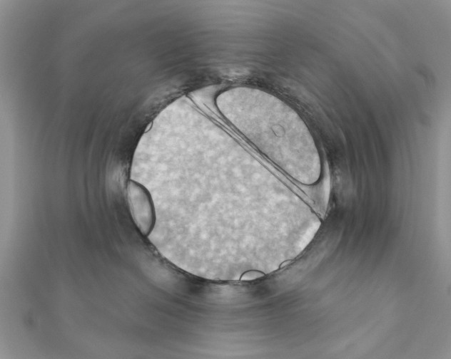 X0000111360286200908211303