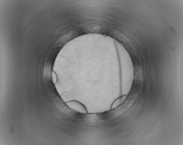 X0000111360287200908211303
