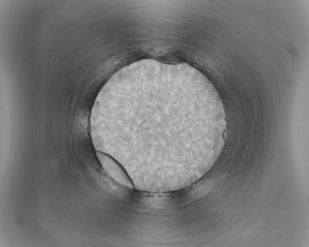 X0000111360288200908211303