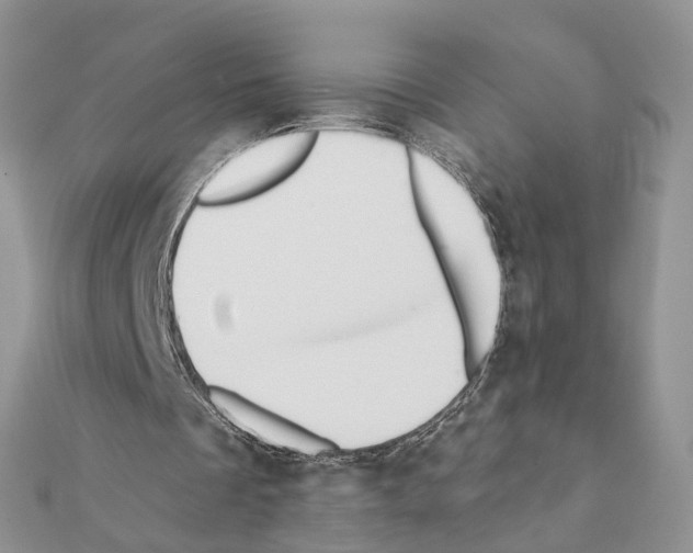 X0000111360289200908211303