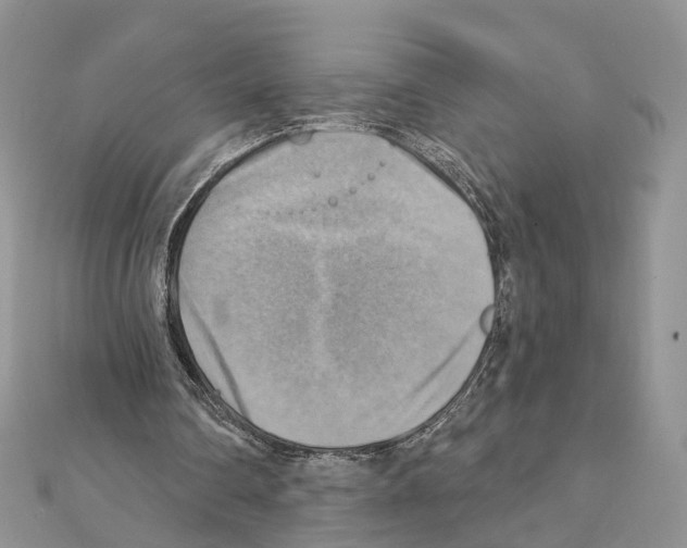 X0000111360290200908211303