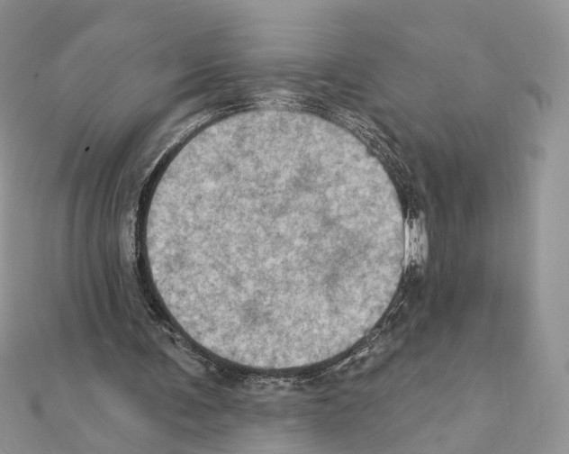X0000111360291200908211303