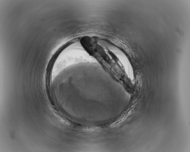 X0000111360292200908211303