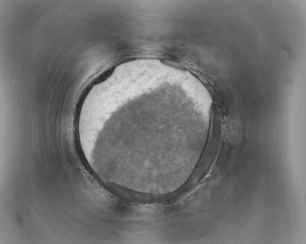 X0000111360293200908211303