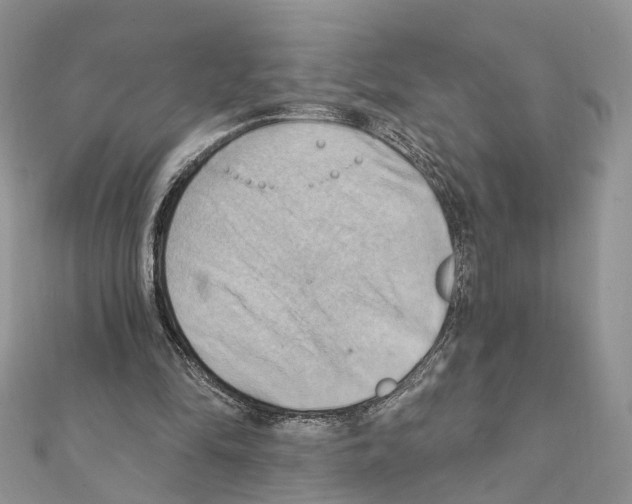 X0000111360294200908211303