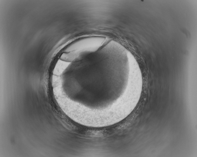 X0000111360295200908211303