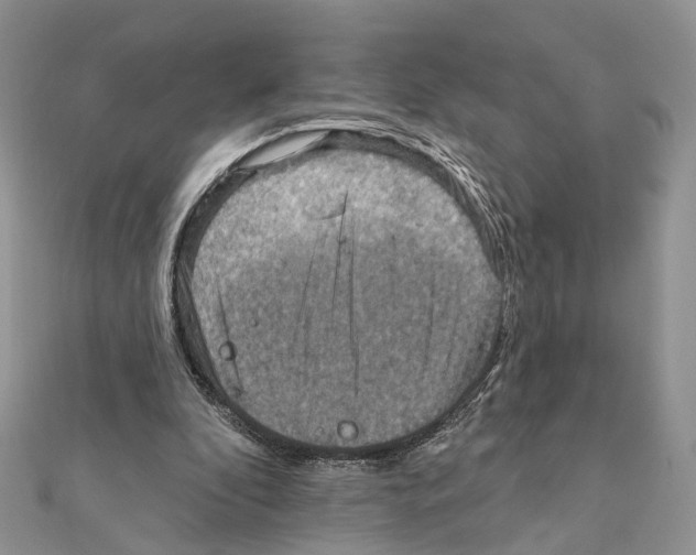 X0000111360296200908211303